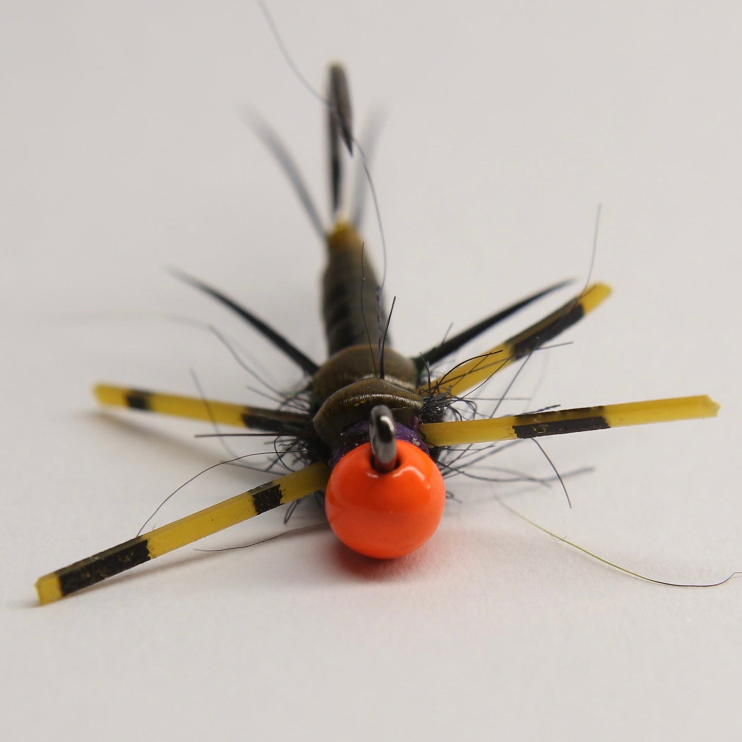 Lanko's Rubberback Stonefly