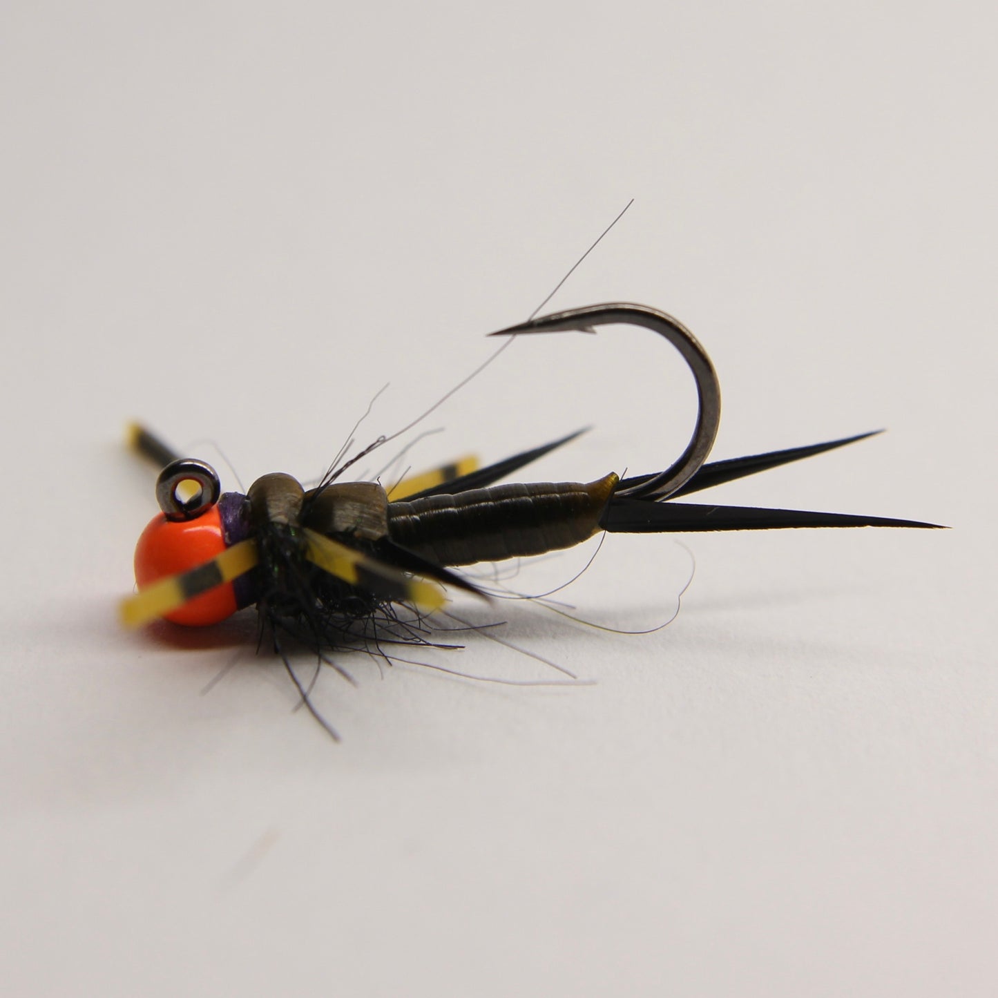 Lanko's Rubberback Stonefly