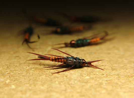 Attractor Stonefly