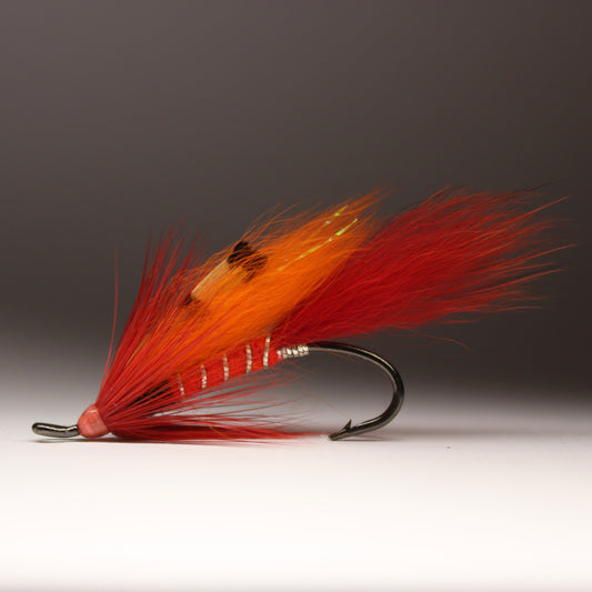 Lanko’s Arctic Fox Shrimp