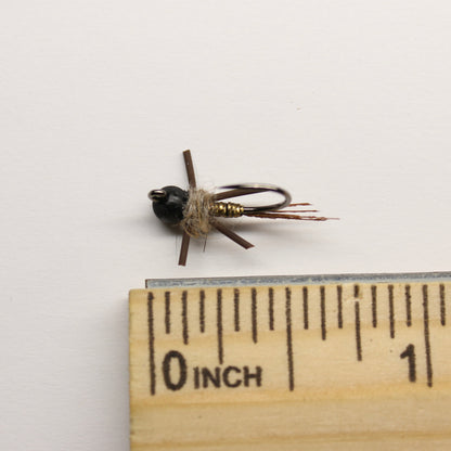 Golden Tinsel Stonefly