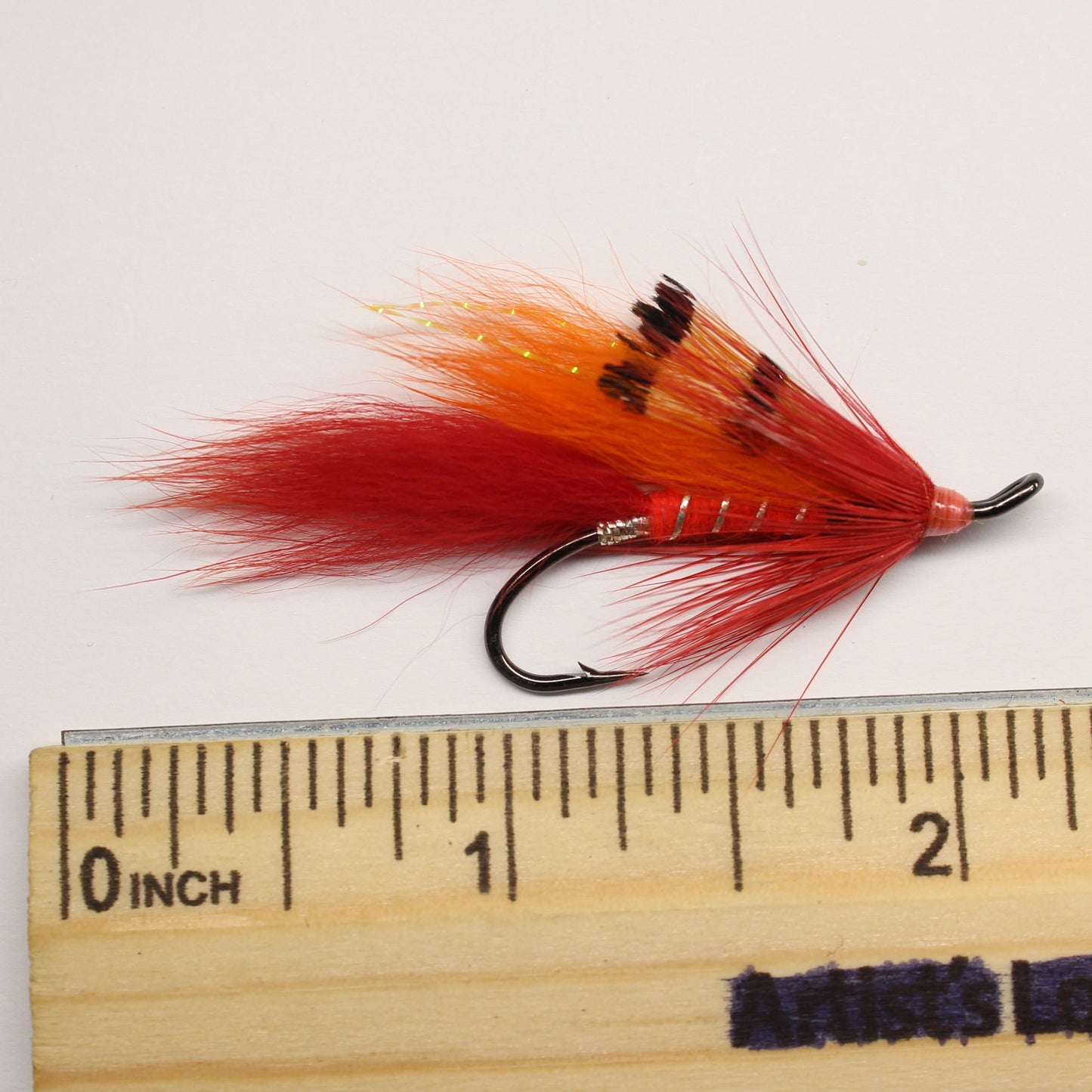 Lanko’s Arctic Fox Shrimp