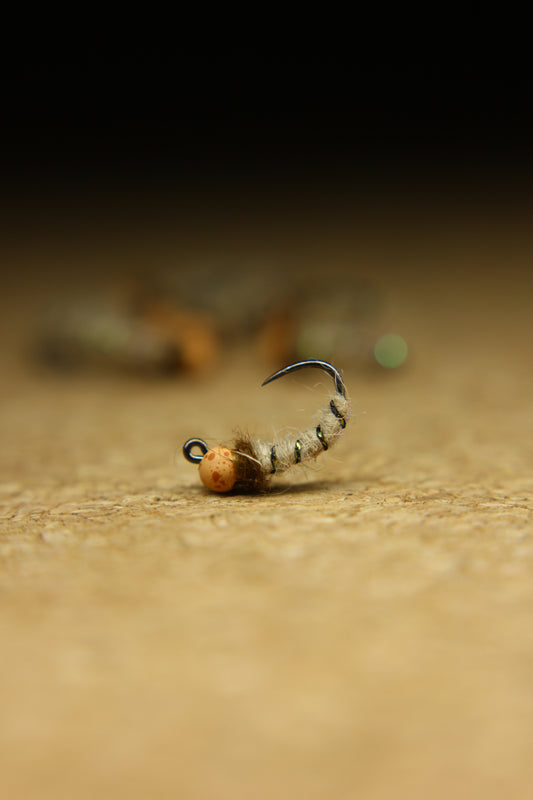 Flashback Walt’s Worm