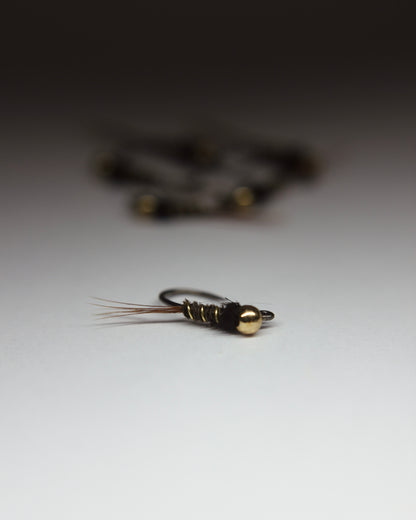 Black Collar Natural Pheasant Tail