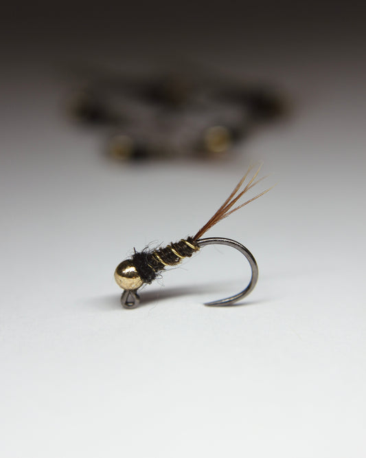 Black Collar Natural Pheasant Tail