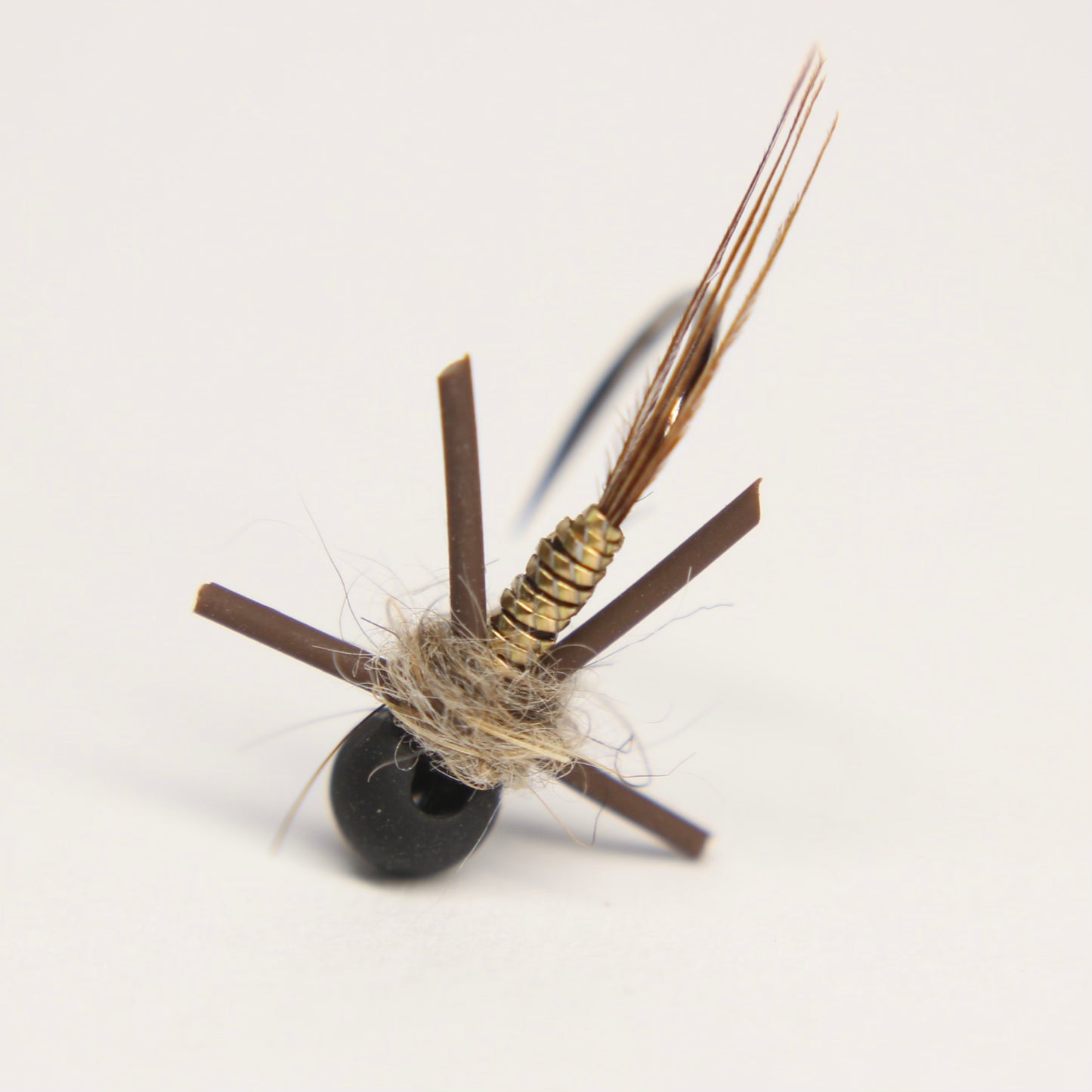 Golden Tinsel Stonefly